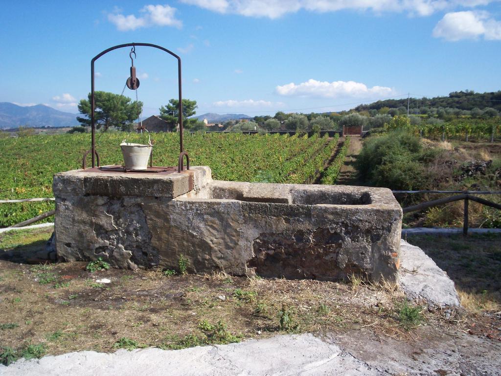 Etna Wine Azienda Agrituristica Passopisciaro Phòng bức ảnh