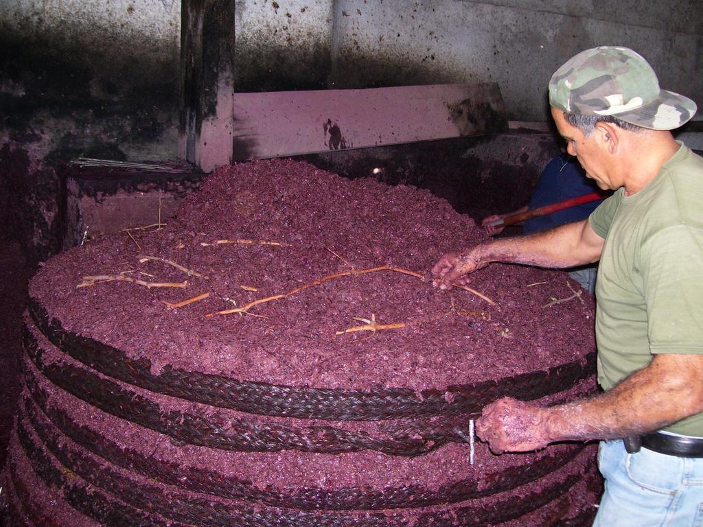 Etna Wine Azienda Agrituristica Passopisciaro Ngoại thất bức ảnh