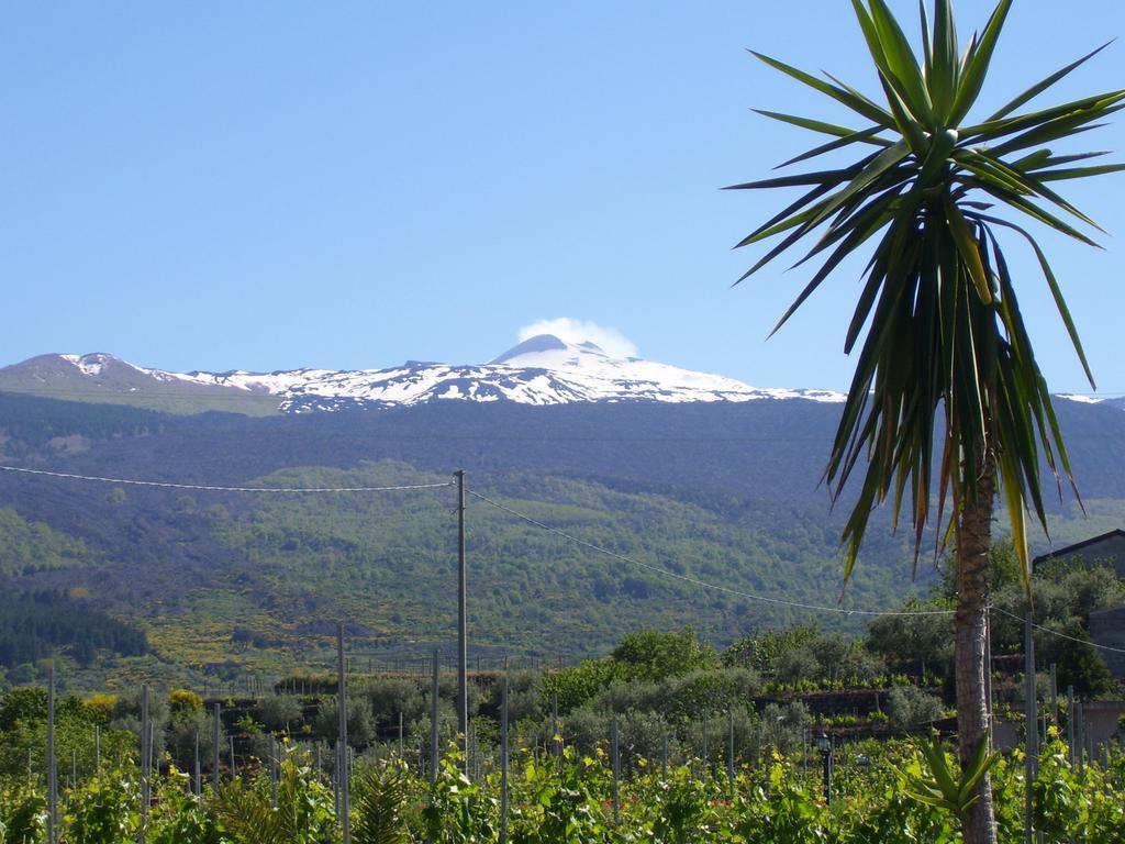 Etna Wine Azienda Agrituristica Passopisciaro Ngoại thất bức ảnh