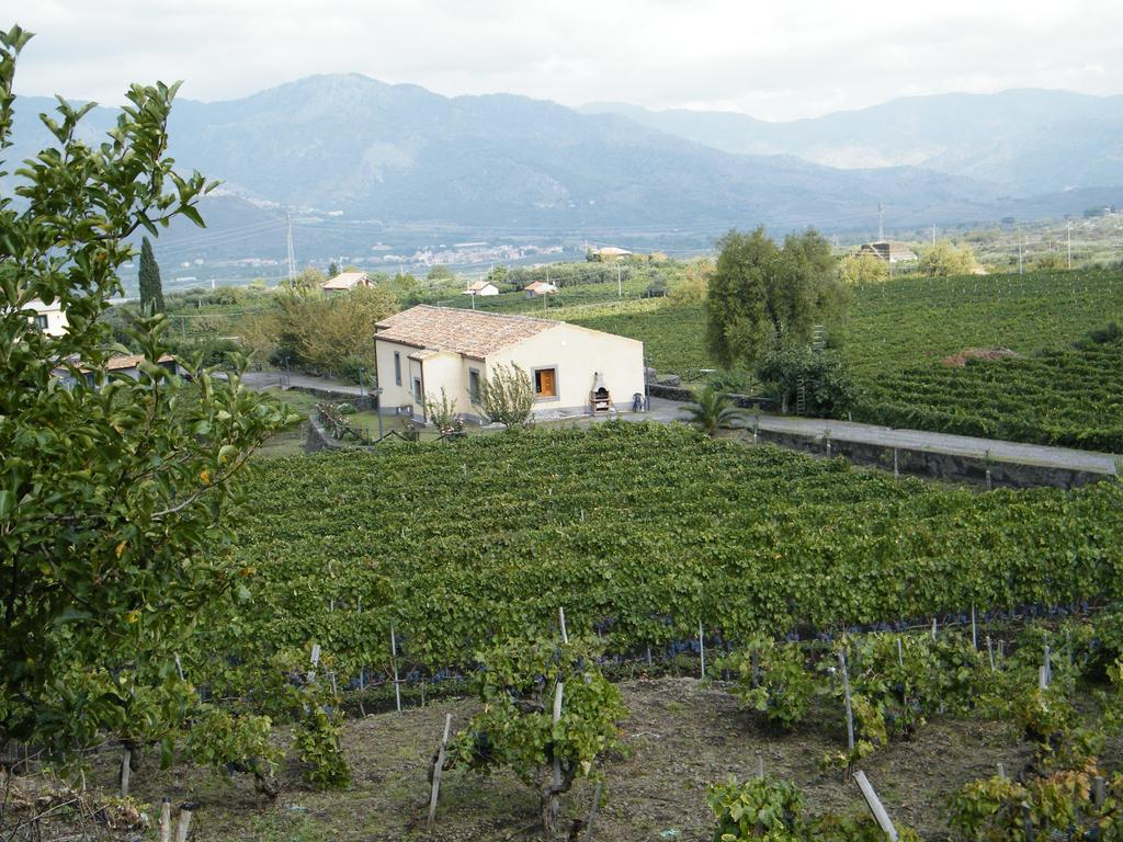Etna Wine Azienda Agrituristica Passopisciaro Phòng bức ảnh