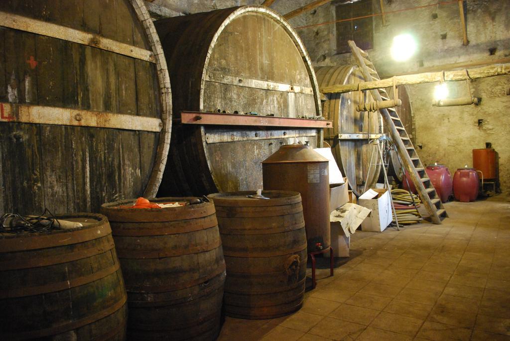 Etna Wine Azienda Agrituristica Passopisciaro Ngoại thất bức ảnh